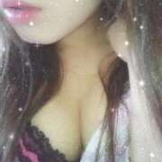 ヒメ日記 2026/02/28 09:50 投稿 なみ 石庭