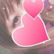 ヒメ日記 2026/02/28 14:40 投稿 なみ 石庭