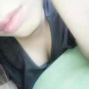 ヒメ日記 2026/02/28 15:40 投稿 なみ 石庭