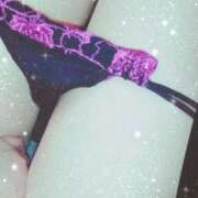 ヒメ日記 2026/03/02 08:00 投稿 なみ 石庭