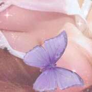 ヒメ日記 2026/03/28 13:10 投稿 なみ 石庭