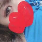 ヒメ日記 2026/04/08 10:00 投稿 なみ 石庭