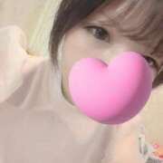 ヒメ日記 2026/04/09 10:00 投稿 なみ 石庭