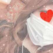 ヒメ日記 2026/04/12 08:20 投稿 なみ 石庭