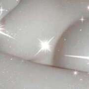 ヒメ日記 2026/04/12 10:20 投稿 なみ 石庭