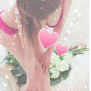 ヒメ日記 2026/04/21 14:00 投稿 なみ 石庭