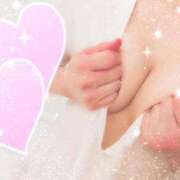 ヒメ日記 2026/04/21 16:03 投稿 なみ 石庭