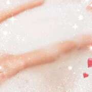 ヒメ日記 2026/04/25 08:00 投稿 なみ 石庭