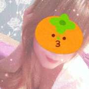 ヒメ日記 2026/04/25 16:03 投稿 なみ 石庭