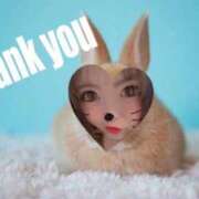 もも お礼1 H様🐰 三重松阪ちゃんこ