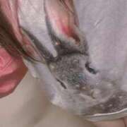 ヒメ日記 2026/01/04 16:43 投稿 もも 三重松阪ちゃんこ