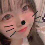 ヒメ日記 2026/02/20 16:53 投稿 もも 三重松阪ちゃんこ