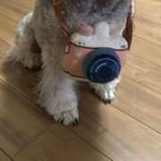 ヒメ日記 2025/11/15 18:56 投稿 ゆる 熟女の風俗最終章 仙台店