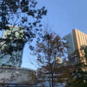 ヒメ日記 2025/11/30 16:00 投稿 さやか 奥鉄オクテツ大阪