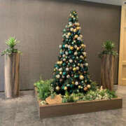 ヒメ日記 2025/12/04 12:05 投稿 さやか 奥鉄オクテツ大阪