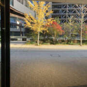 ヒメ日記 2025/12/05 09:15 投稿 さやか 奥鉄オクテツ大阪