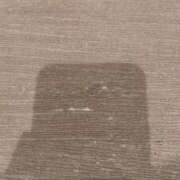 ヒメ日記 2026/02/13 00:24 投稿 徳本　やよい Oasis(薬研堀)