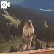 ヒメ日記 2026/03/13 00:44 投稿 徳本　やよい Oasis(薬研堀)