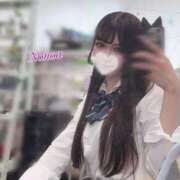 ヒメ日記 2025/07/14 12:04 投稿 ノノア※完全業界未経験♪ きらめけ！にゃんにゃん学園in大宮