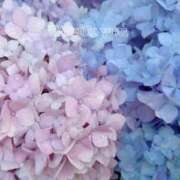 ヒメ日記 2025/07/15 20:51 投稿 優奈 モアグループ南越谷人妻花壇