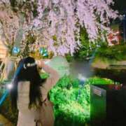 ヒメ日記 2026/03/28 10:33 投稿 優奈 モアグループ南越谷人妻花壇