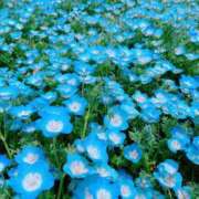 ヒメ日記 2026/04/23 00:48 投稿 優奈 モアグループ南越谷人妻花壇