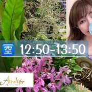 ヒメ日記 2025/07/27 09:03 投稿 あおい あとりえ(ATELIER)