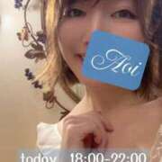 あおい 🩵 🈳19:30-22:00 🩵 あとりえ(ATELIER)