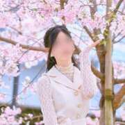 美月なぎさ ‎🤍新たな挑戦 ルピナスパルフェ