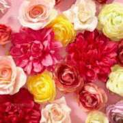 ヒメ日記 2025/07/19 11:42 投稿 ゆあ 千葉人妻花壇