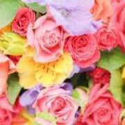 ヒメ日記 2025/08/10 01:07 投稿 ゆあ 千葉人妻花壇