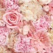 ヒメ日記 2025/08/10 02:26 投稿 ゆあ 千葉人妻花壇