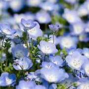 ヒメ日記 2025/09/10 12:06 投稿 ゆあ 千葉人妻花壇