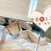 ヒメ日記 2025/09/18 07:41 投稿 白鳥あかり 池袋㊙エステ～フル勃起～