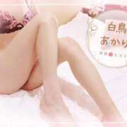 ヒメ日記 2025/09/22 08:01 投稿 白鳥あかり 池袋㊙エステ～フル勃起～