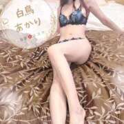 ヒメ日記 2025/09/23 12:02 投稿 白鳥あかり 池袋㊙エステ～フル勃起～