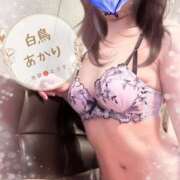 ヒメ日記 2025/09/25 14:51 投稿 白鳥あかり 池袋㊙エステ～フル勃起～