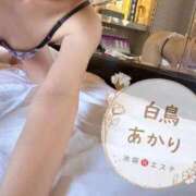 ヒメ日記 2025/10/03 17:31 投稿 白鳥あかり 池袋㊙エステ～フル勃起～