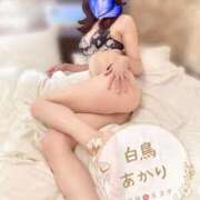 ヒメ日記 2025/10/12 21:41 投稿 白鳥あかり 池袋㊙エステ～フル勃起～