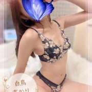 ヒメ日記 2025/10/19 07:35 投稿 白鳥あかり 池袋㊙エステ～フル勃起～