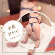 ヒメ日記 2025/10/22 16:21 投稿 白鳥あかり 池袋㊙エステ～フル勃起～