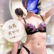 ヒメ日記 2025/10/23 16:02 投稿 白鳥あかり 池袋㊙エステ～フル勃起～