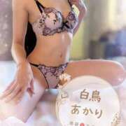 ヒメ日記 2025/10/24 11:05 投稿 白鳥あかり 池袋㊙エステ～フル勃起～