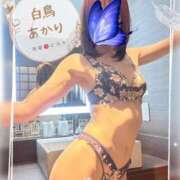 ヒメ日記 2025/11/12 21:03 投稿 白鳥あかり 池袋㊙エステ～フル勃起～