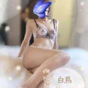 ヒメ日記 2025/11/13 15:34 投稿 白鳥あかり 池袋㊙エステ～フル勃起～