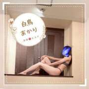 ヒメ日記 2025/11/13 18:21 投稿 白鳥あかり 池袋㊙エステ～フル勃起～