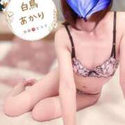 ヒメ日記 2025/11/14 00:11 投稿 白鳥あかり 池袋㊙エステ～フル勃起～