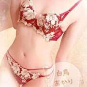 ヒメ日記 2025/11/21 00:20 投稿 白鳥あかり 池袋㊙エステ～フル勃起～