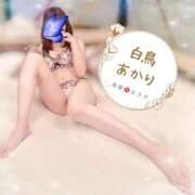 ヒメ日記 2025/11/21 18:01 投稿 白鳥あかり 池袋㊙エステ～フル勃起～