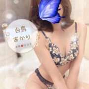 ヒメ日記 2025/11/24 07:31 投稿 白鳥あかり 池袋㊙エステ～フル勃起～